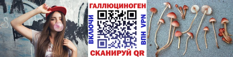 Галлюциногенные грибы MAGIC MUSHROOMS Сердобск