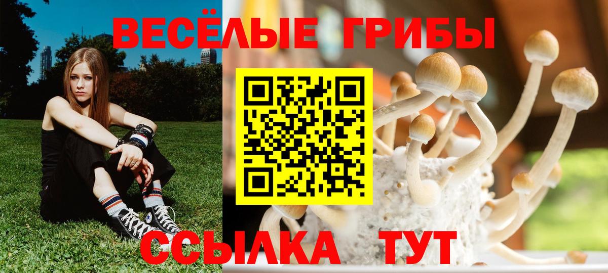 где купить наркоту  Вход с VPN  Сердобск  Псилоцибиновые грибы прущие грибы 